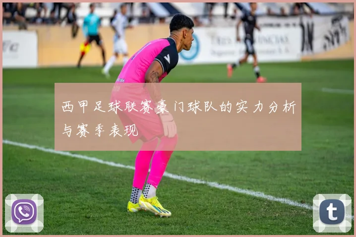 西甲足球联赛豪门球队的实力分析与赛季表现
