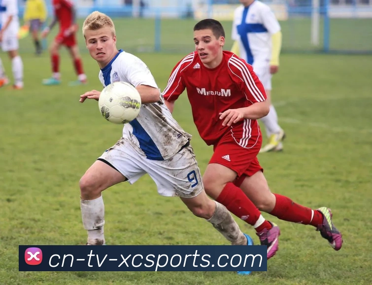 辅助工具 辅助工具